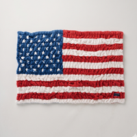 USA Lush Flag Blanket